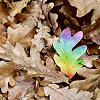 leaf standing out