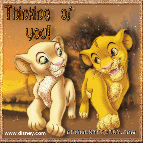 lion lionceaux roi king
